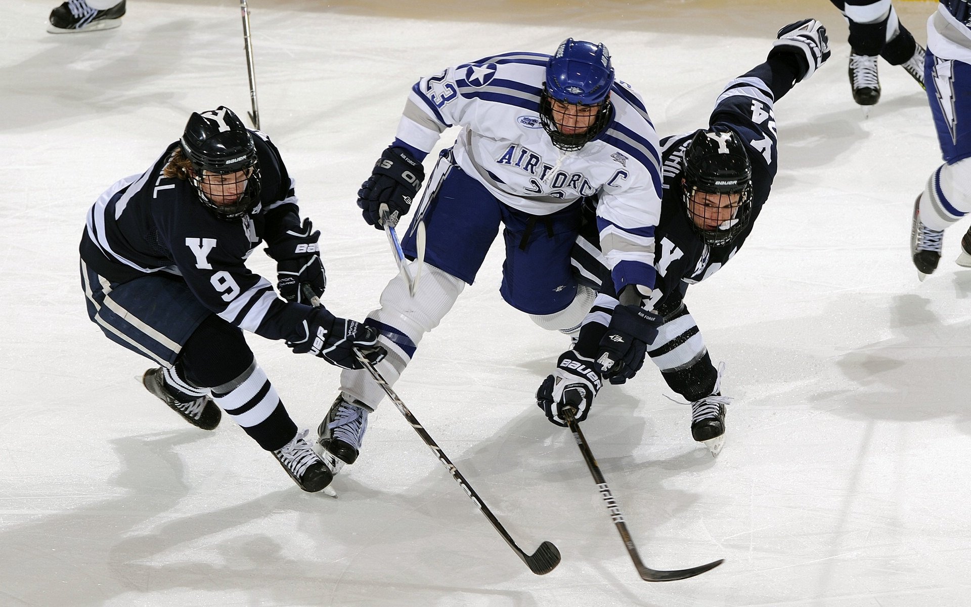 Palmer成为切尔西未来核心球员目标，切尔西新人