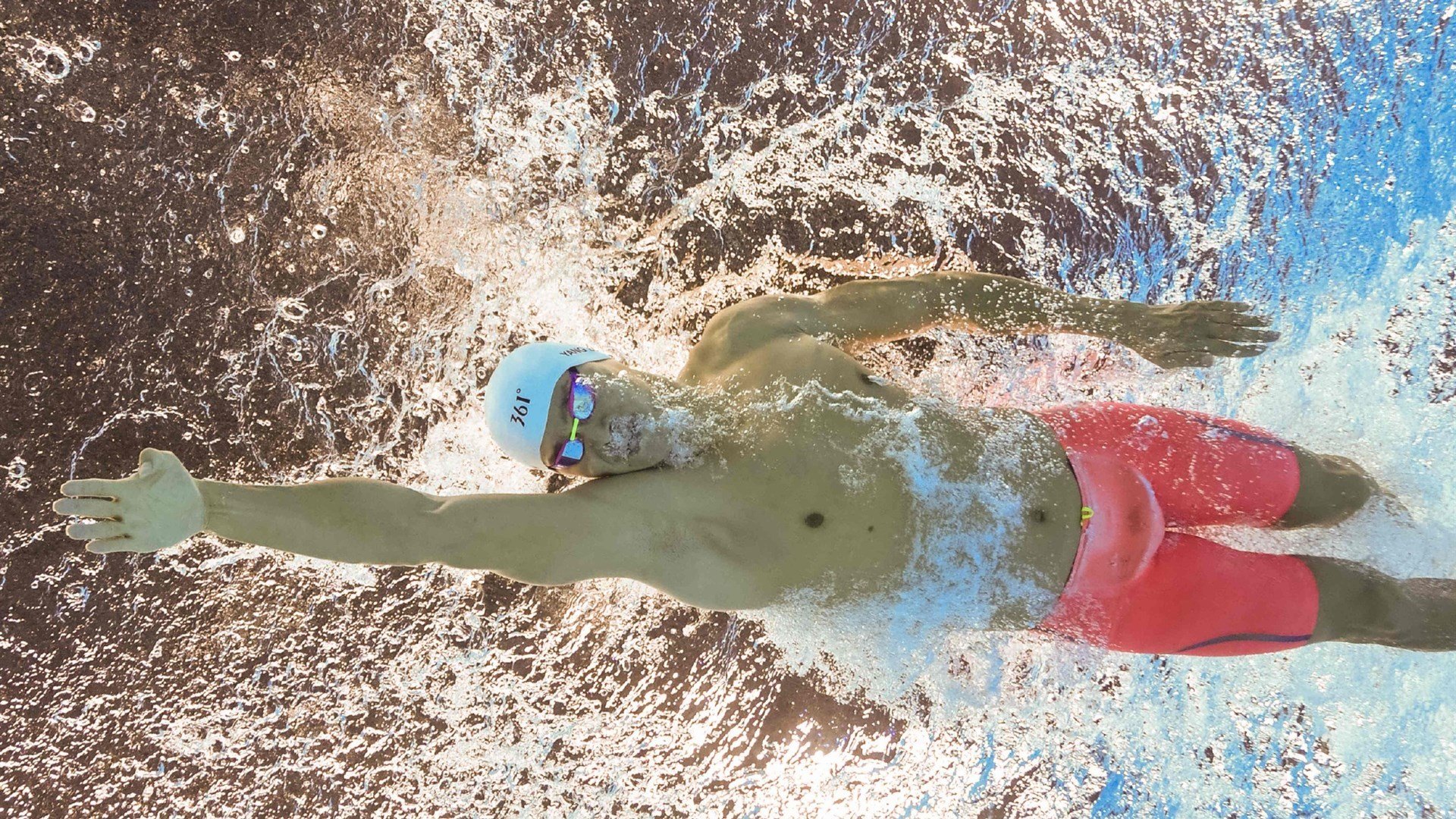 蛙泳比拼比利时展现新高度，蛙泳比赛规则视频